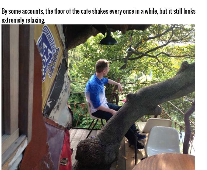 This Tree House Cafe Is The Perfect Spot To Relax