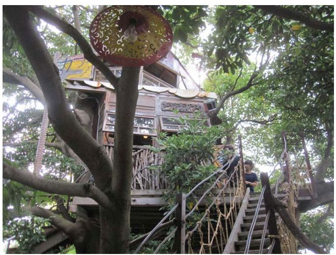 This Tree House Cafe Is The Perfect Spot To Relax