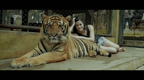 Daily GIFs Mix, part 568