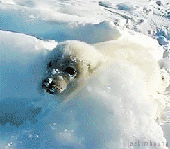 Daily GIFs Mix, part 568