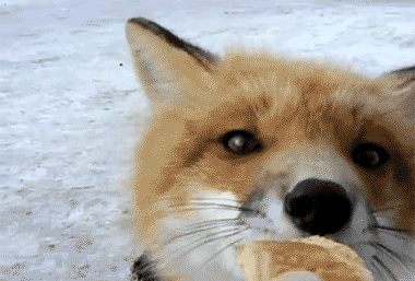 Daily GIFs Mix, part 569