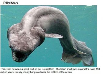 12 Extremely Old And Terrifying Animals