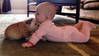 Daily GIFs Mix, part 571