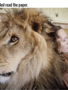 This Family Has A Lion As A House Pet