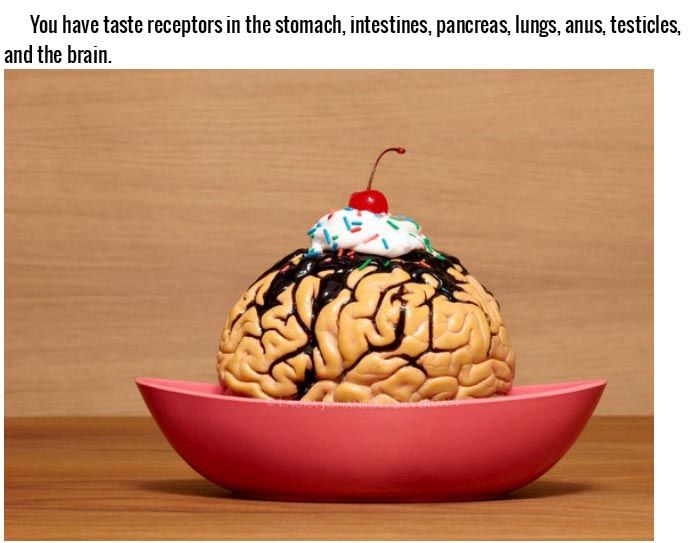 Things You Didn't Know Effect Your Brain In A Big Way