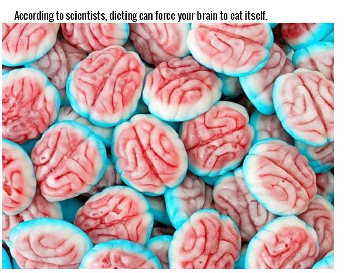 Things You Didn't Know Effect Your Brain In A Big Way