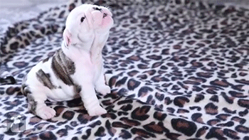 Daily GIFs Mix, part 574