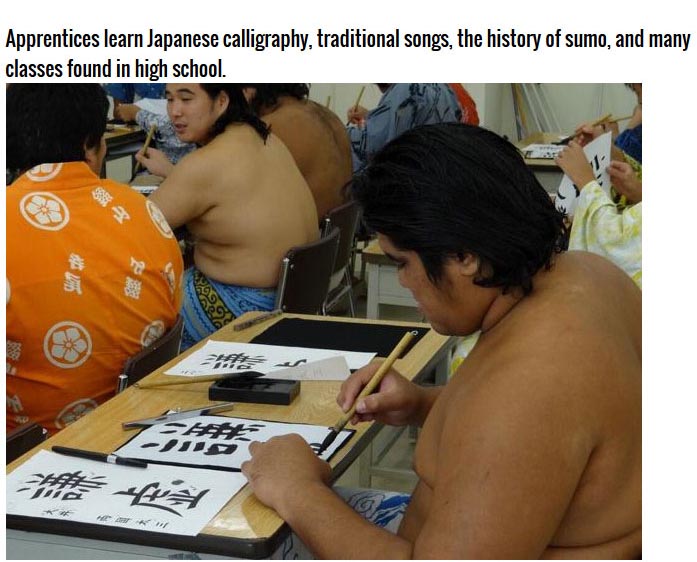 This Is What it Takes To Become A Sumo Wrestler