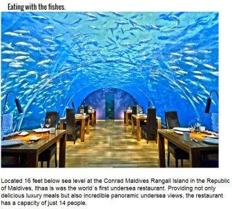 The Most Unique Dining Experiences In The World