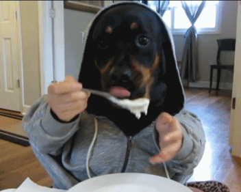 Daily GIFs Mix, part 579