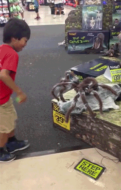 Daily GIFs Mix, part 580