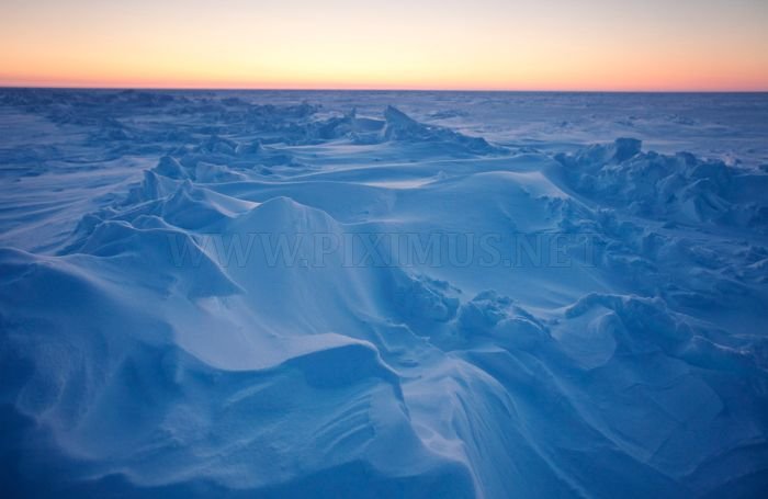 Arctic Ice Station 