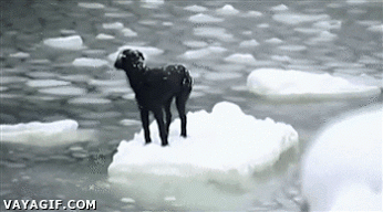 Daily GIFs Mix, part 582