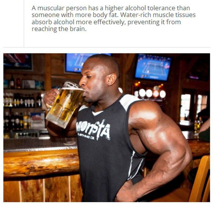 Amazing And Fun Facts About Alcohol