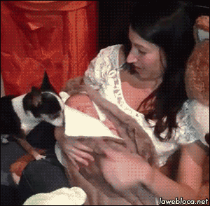 Daily GIFs Mix, part 583