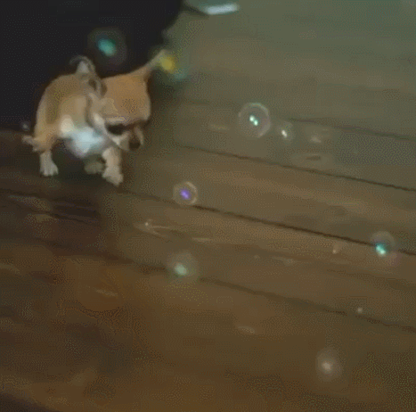 Daily GIFs Mix, part 584