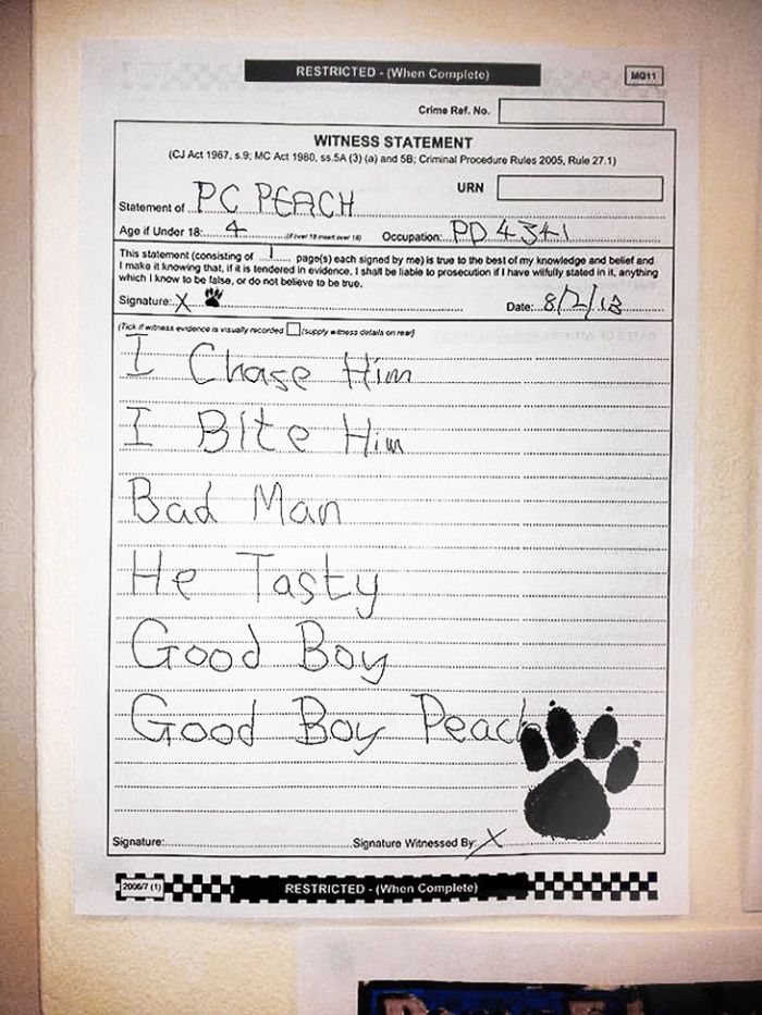 Police Dog Gives A Hilarious Statement To Prosecutors