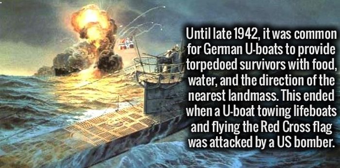 Fun Facts That You Will Never Forget