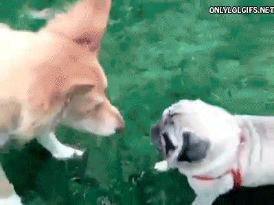 Daily GIFs Mix, part 588