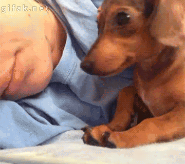 Daily GIFs Mix, part 589