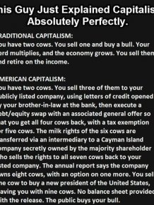 This Is Everything You Need To Know About Capitalism