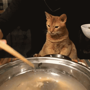 Daily GIFs Mix, part 592