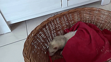 Daily GIFs Mix, part 592