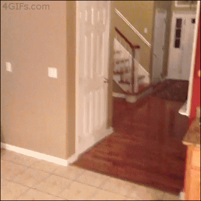 Daily GIFs Mix, part 593