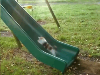 Daily GIFs Mix, part 594