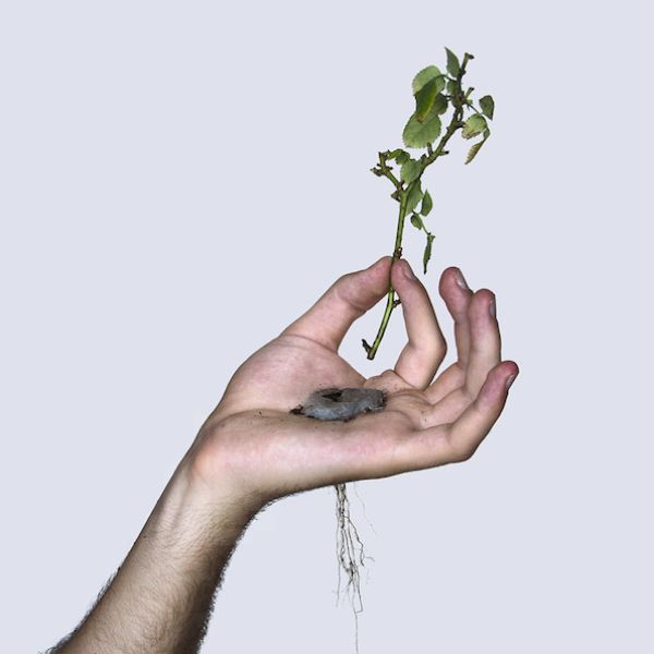 Planting A Flower In Your Hand