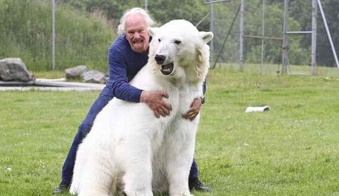 Man and a Polar Bear 