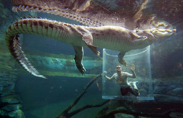 These Brave Men Came Face To Face With Crocodiles