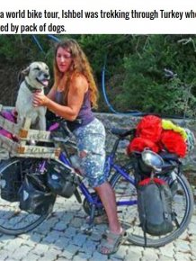 This Woman Did Something Incredible For A Stray Dog