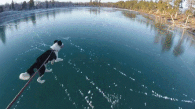 Daily GIFs Mix, part 604