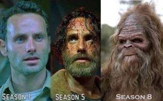 The Best 'Walking Dead' Memes From Season 5