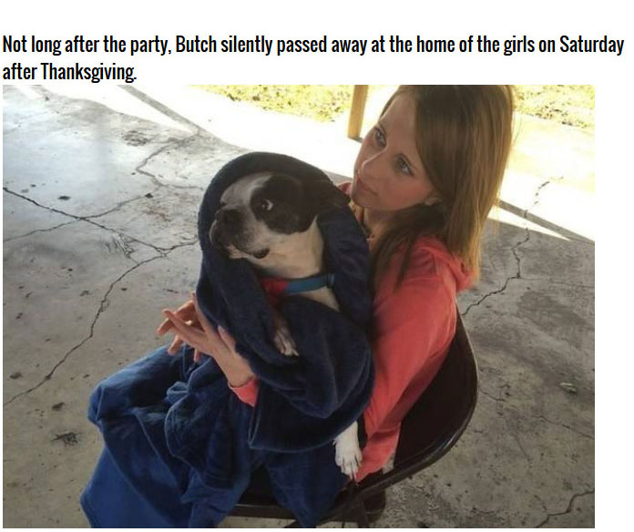 This Dying Dog Got A Farewell Party