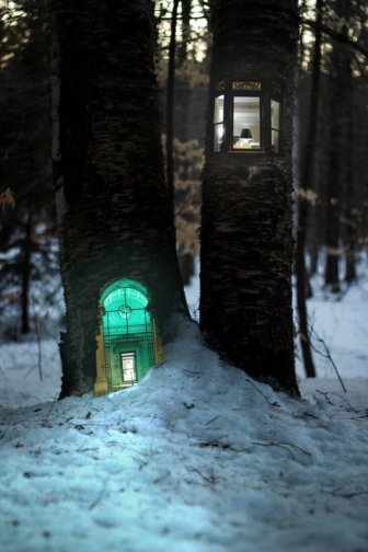 These Magical Forest Photos Make Treehouses Look Way Cooler