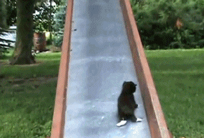 Daily GIFs Mix, part 606