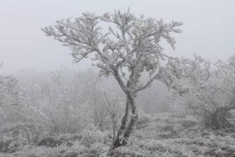 Freezing Fog Is Not Something To Mess With