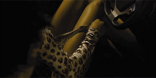 These GIFS Merge Two Things Together To Create One Funny Story