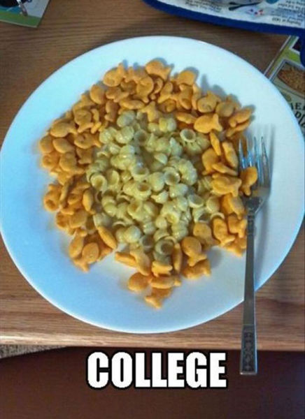 College Life Gets Summed Up Perfectly In These Pictures