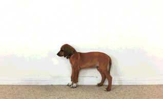 Daily GIFs Mix, part 607