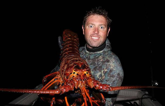 This Man Found A Giant Lobster Off The Coast Of California