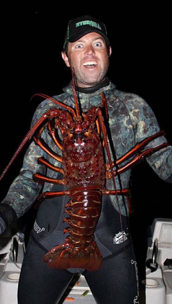 This Man Found A Giant Lobster Off The Coast Of California