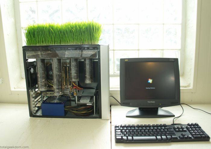 This Working Computer Also Grows Grass