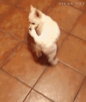 Daily GIFs Mix, part 609