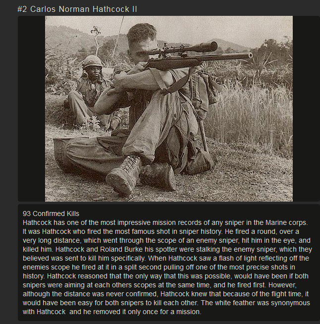 These Are The 10 Deadliest Snipers In History