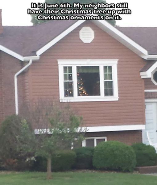 These People Are Definitely Taking Christmas Cheer Way Too Far
