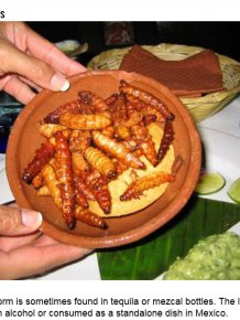 Just Because You Can Eat These 15 Insects Doesn't Mean You Should