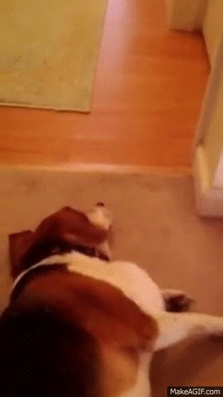 Daily GIFs Mix, part 613